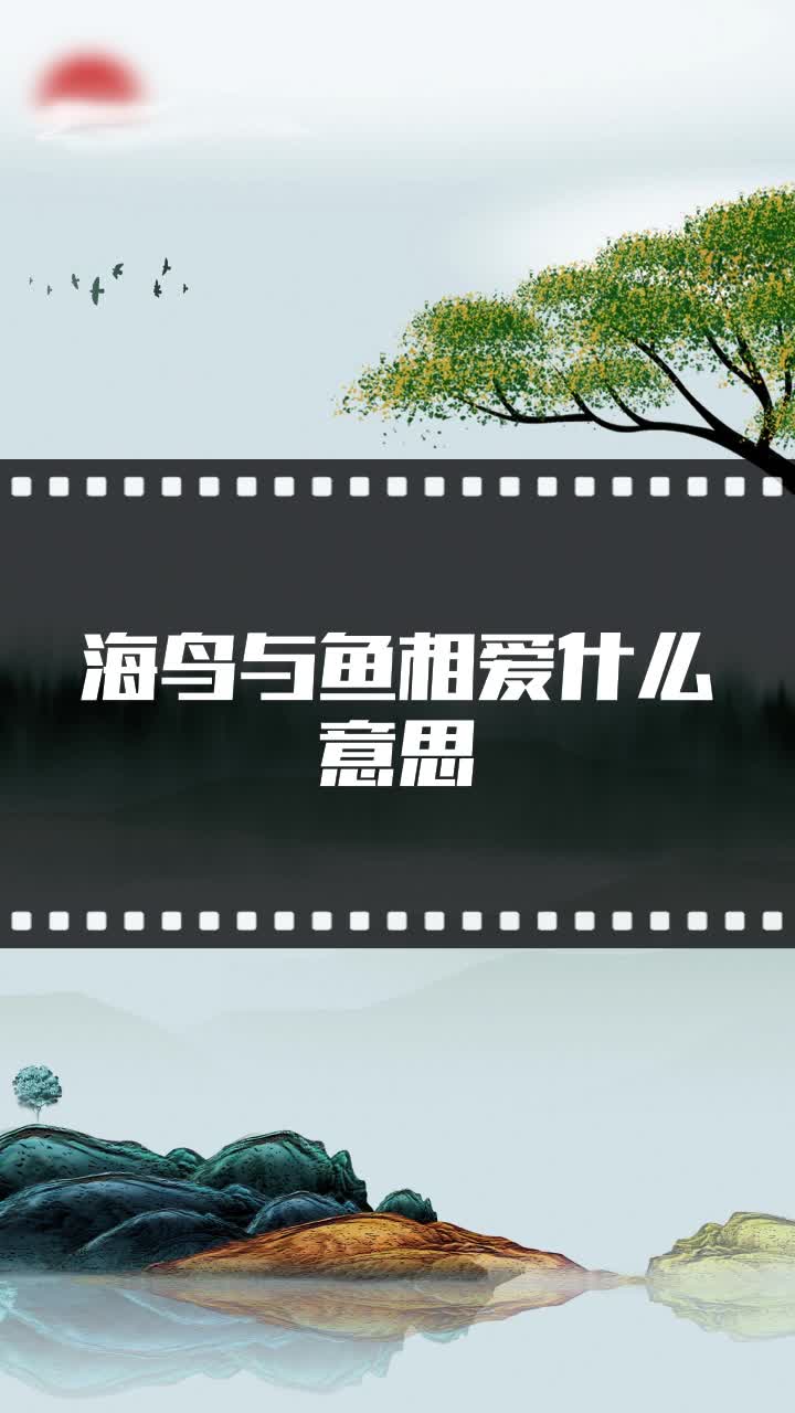 海鸟与鱼相爱什么意思