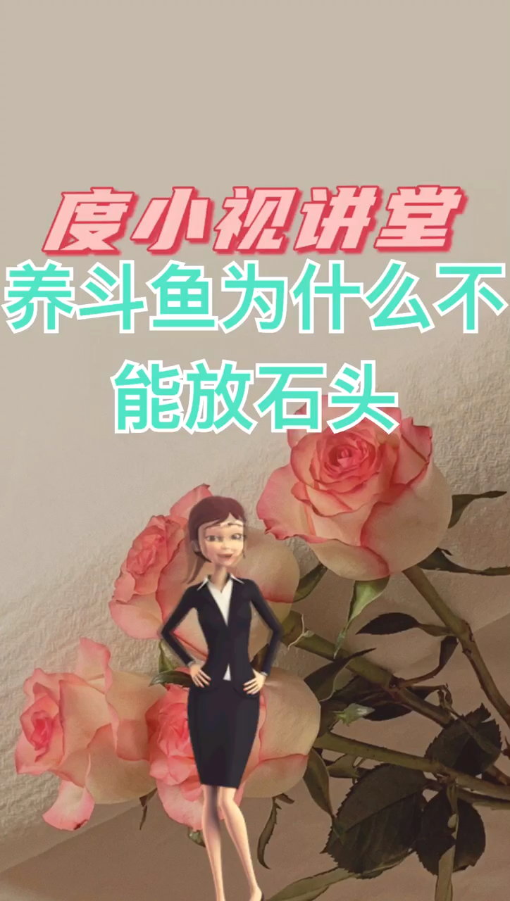 养斗鱼为什么不能放石头