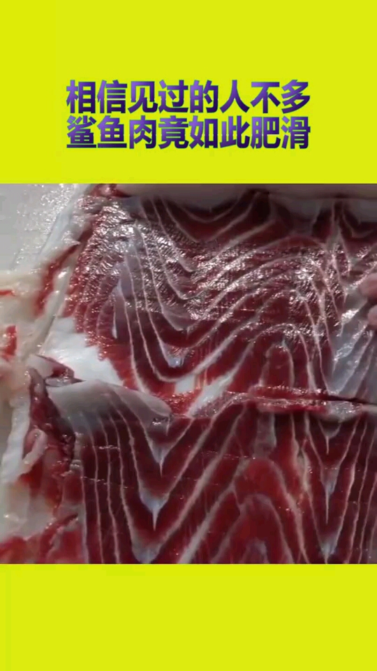 相信见过的人不多,鲨鱼肉竟如此肥滑