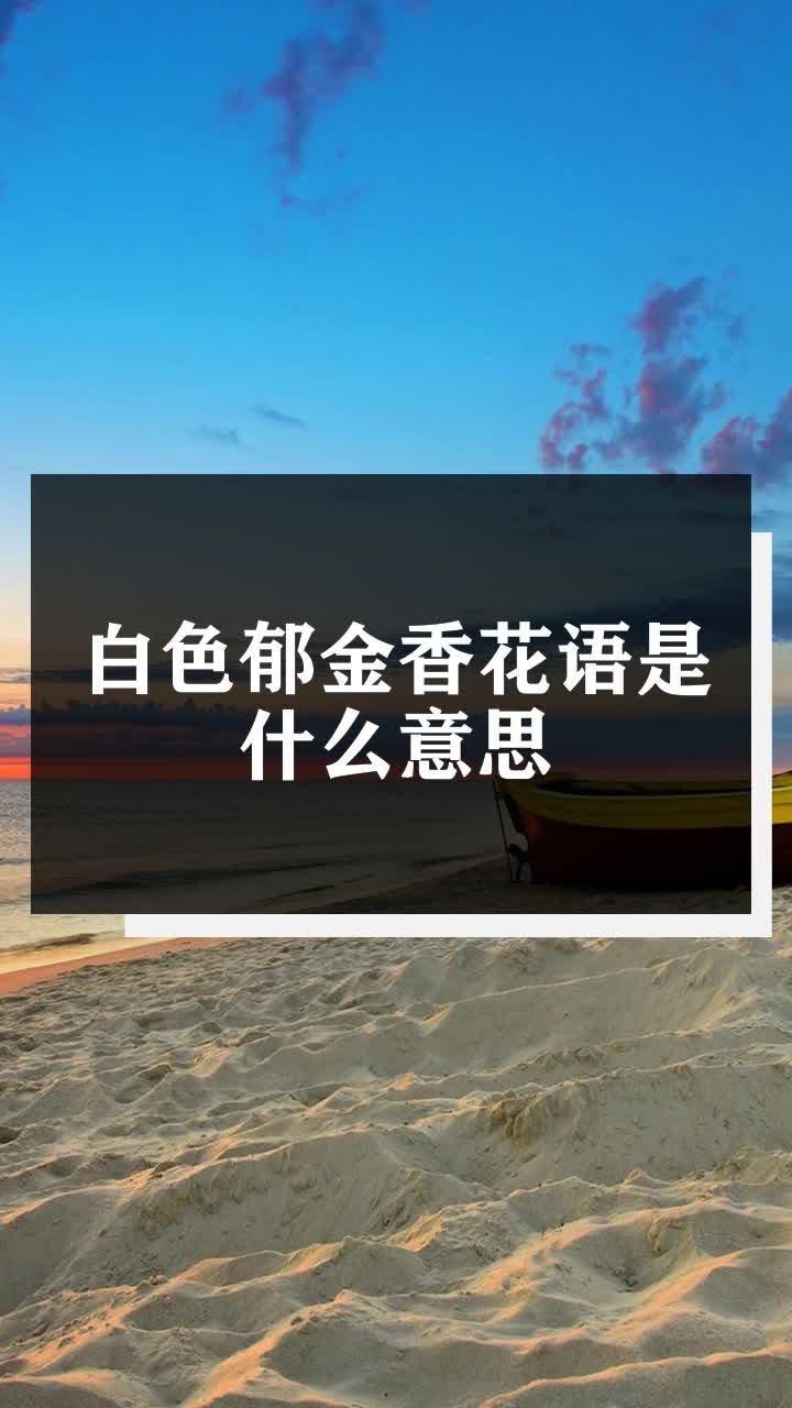白色郁金香花语是什么意思