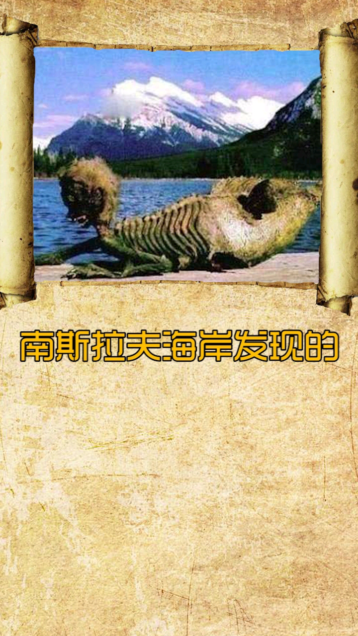 美人鱼真实的样子,你还会喜欢吗?