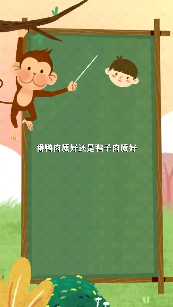 番鸭肉质好还是鸭子肉质好