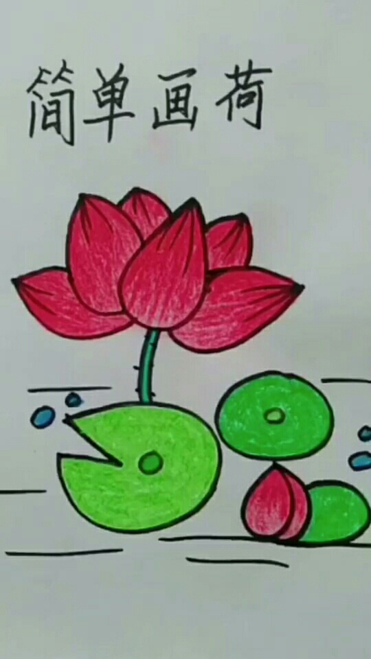 荷花简笔画