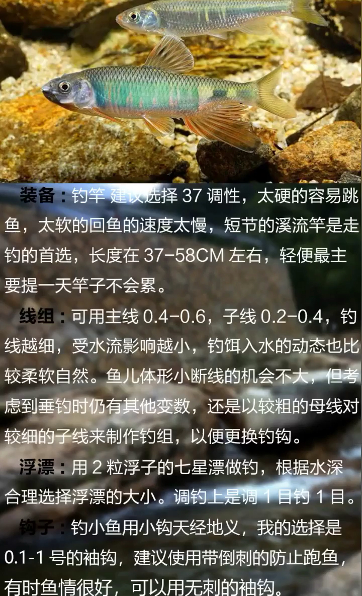 喜欢溪流钓的朋友们可以关注我哦,下集做钓石斑鱼的钓法。