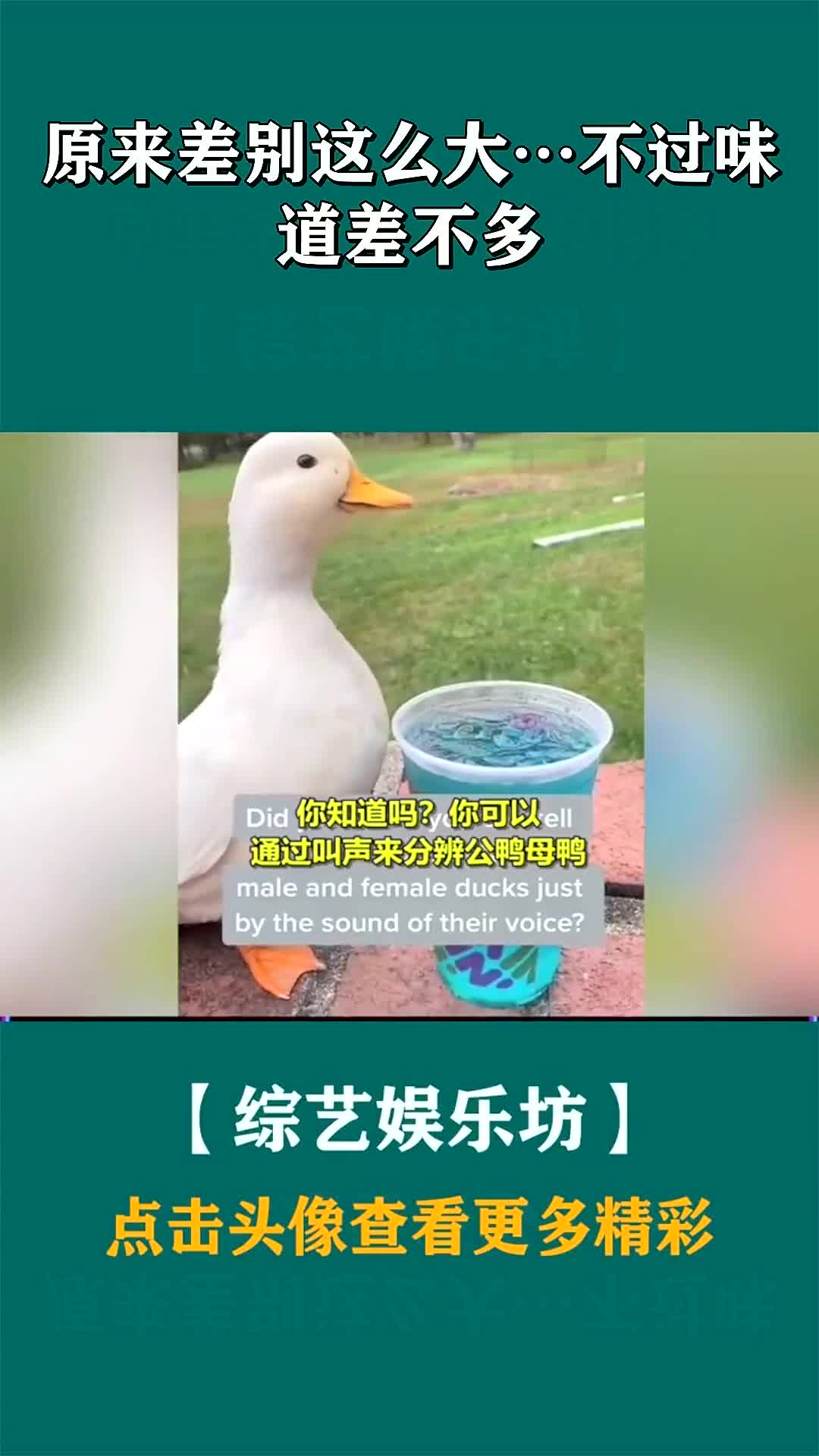 原来差别这么大…不过味道差不多