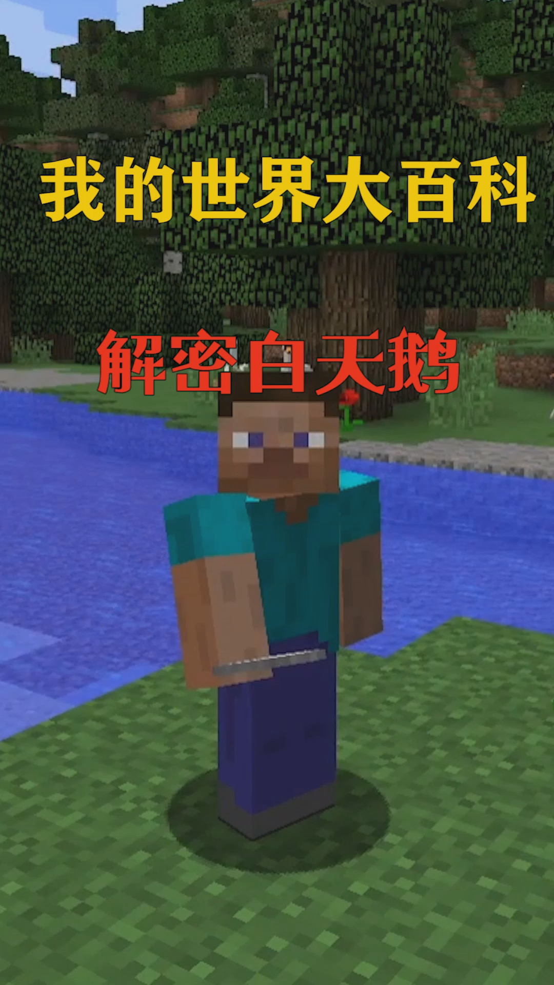 #我的世界#我的世界:天鹅和鹅到底有什么区别?我的世界最优雅动物!