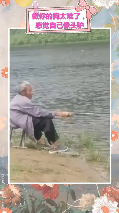 钓鱼最高境界