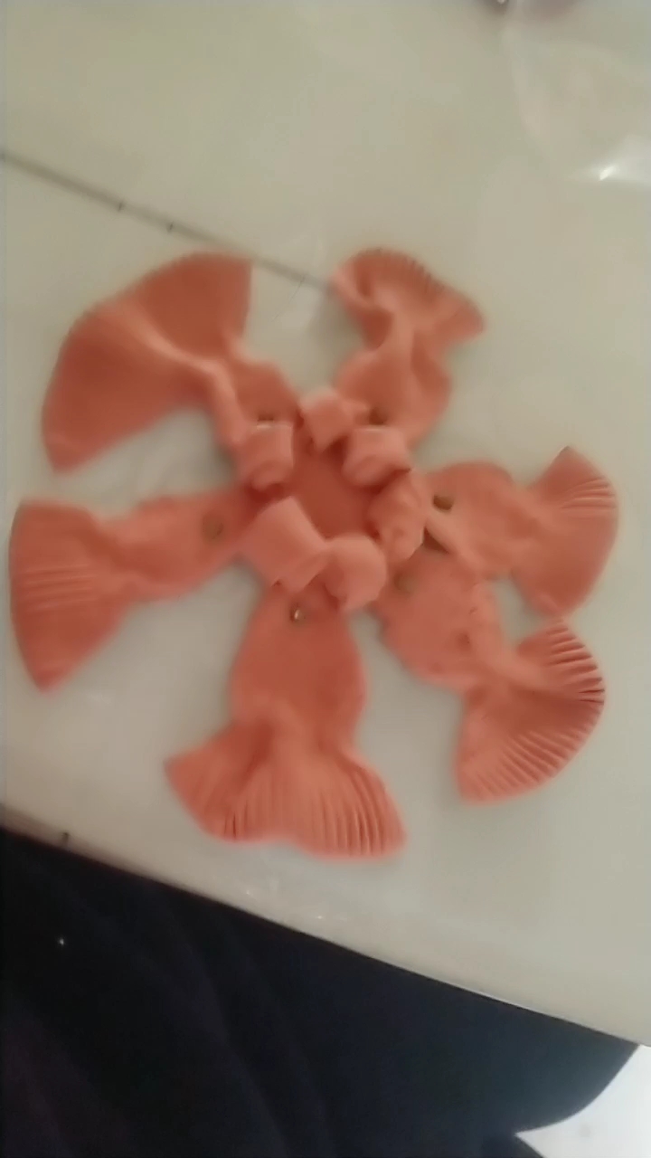年年有鱼漂亮吗?