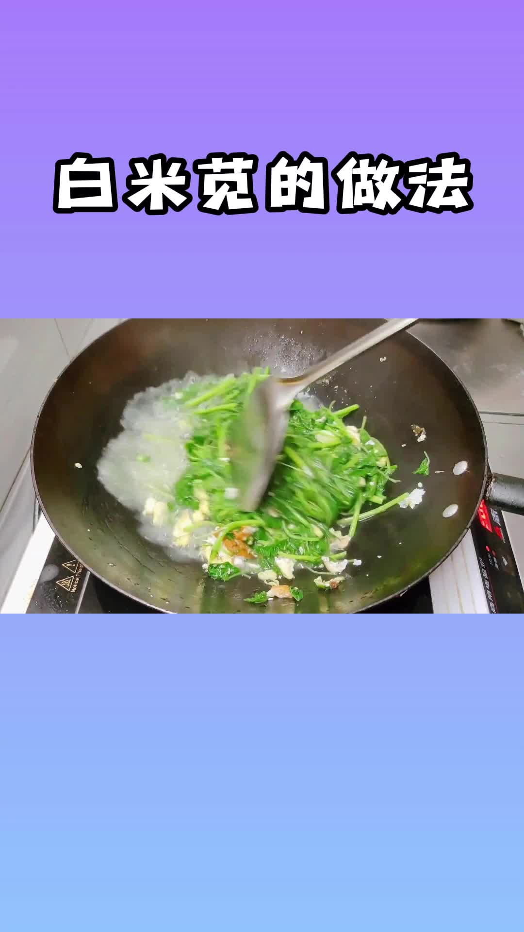 白米苋的做法,鲜嫩爽口,非常好吃