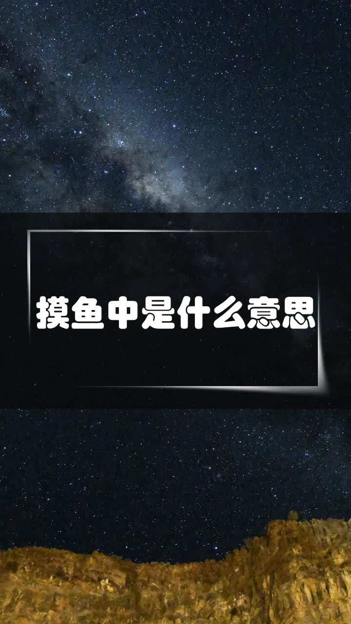 摸鱼中是什么意思