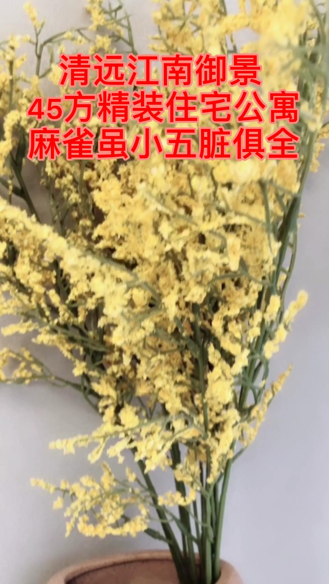 #我要上热门#45方小公寓!可自住可投姿!亦可适合单身哦!