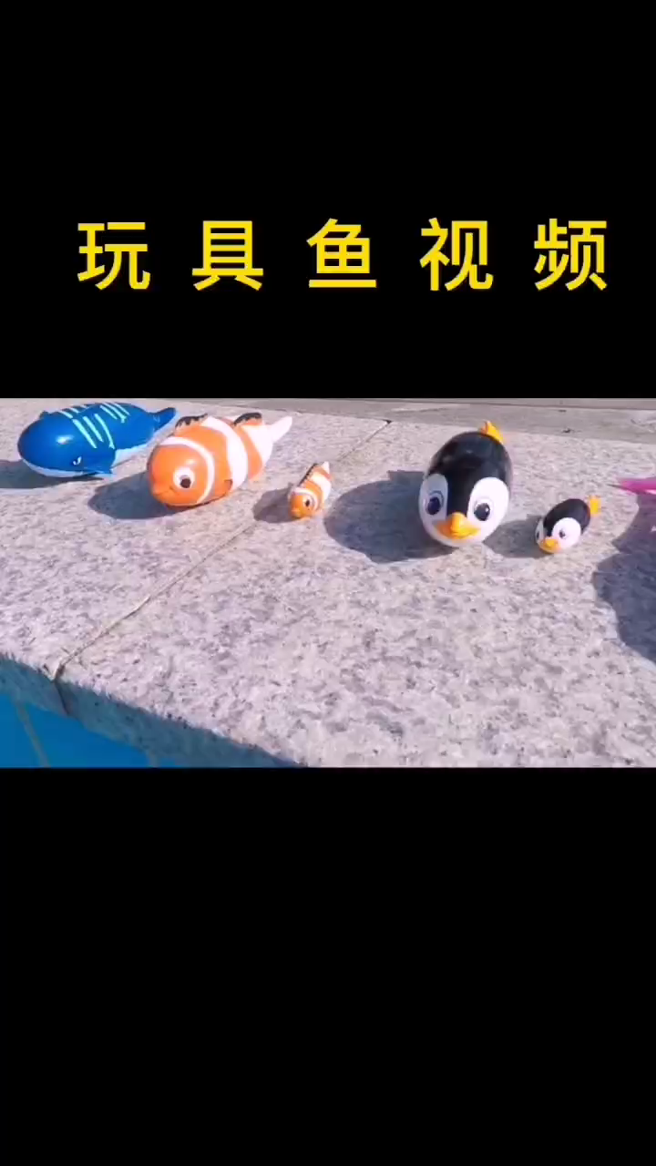 玩具鱼视频   