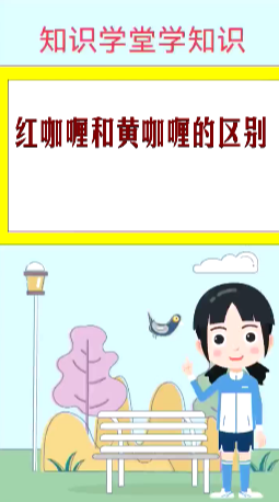 红咖喱和黄咖喱的区别 