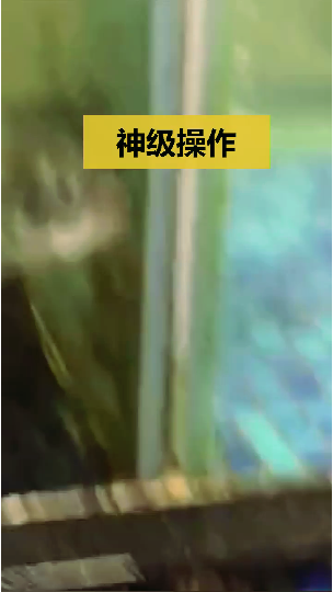 #趣味生活#这是一个古代的故事,跟大禹有关,评论见