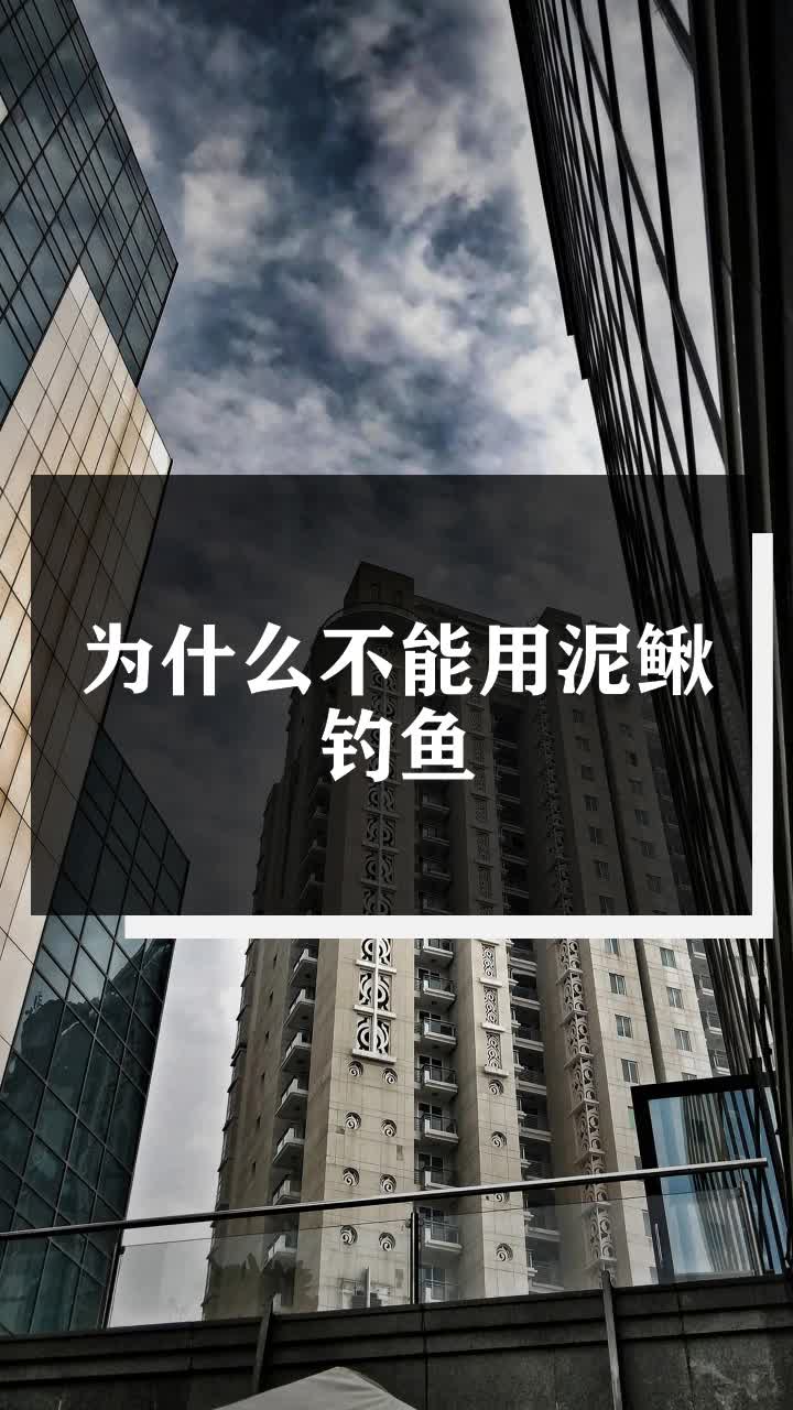 为什么不能用泥鳅钓鱼