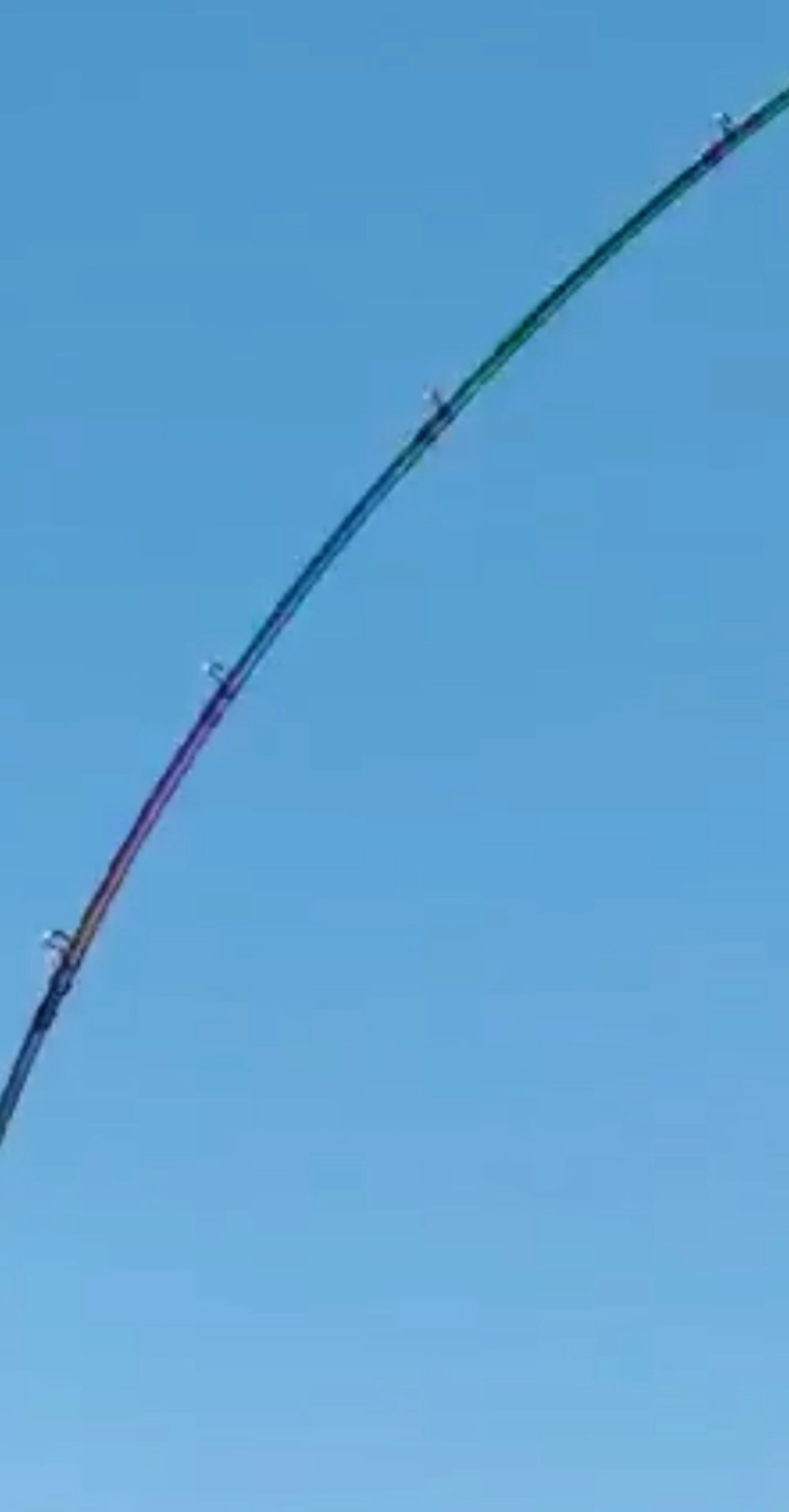 海鱼的味道河鱼味道就是不一样