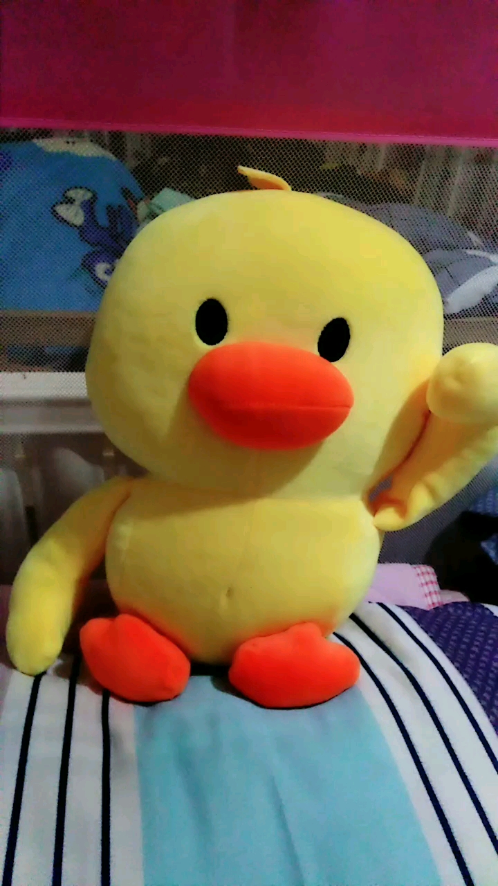 玩偶小黄鸭,有同款的没