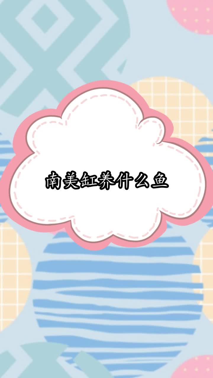 南美缸养什么鱼,你听懂了吗
