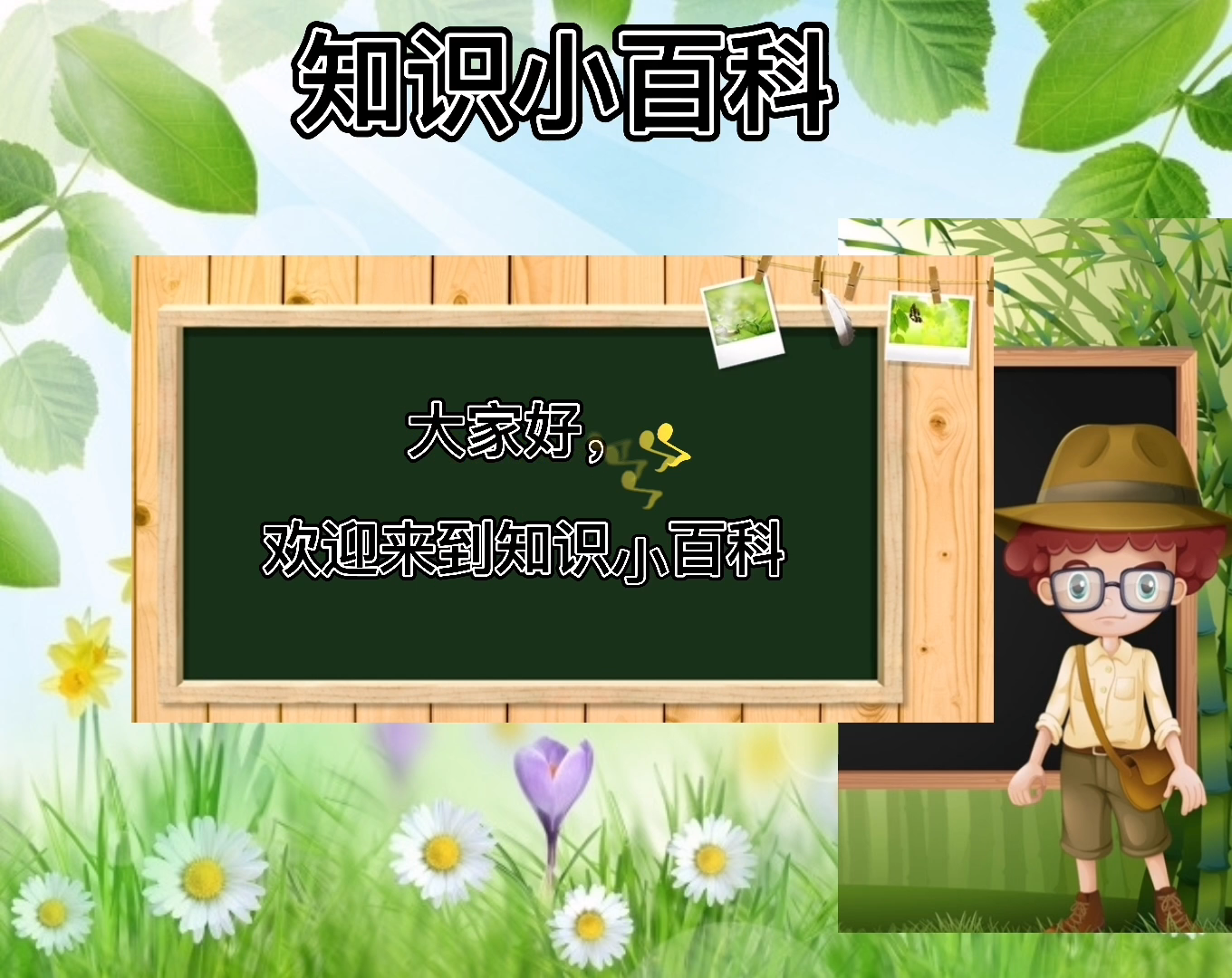 #赶鸭子上架的意思是什么#一起来认识下