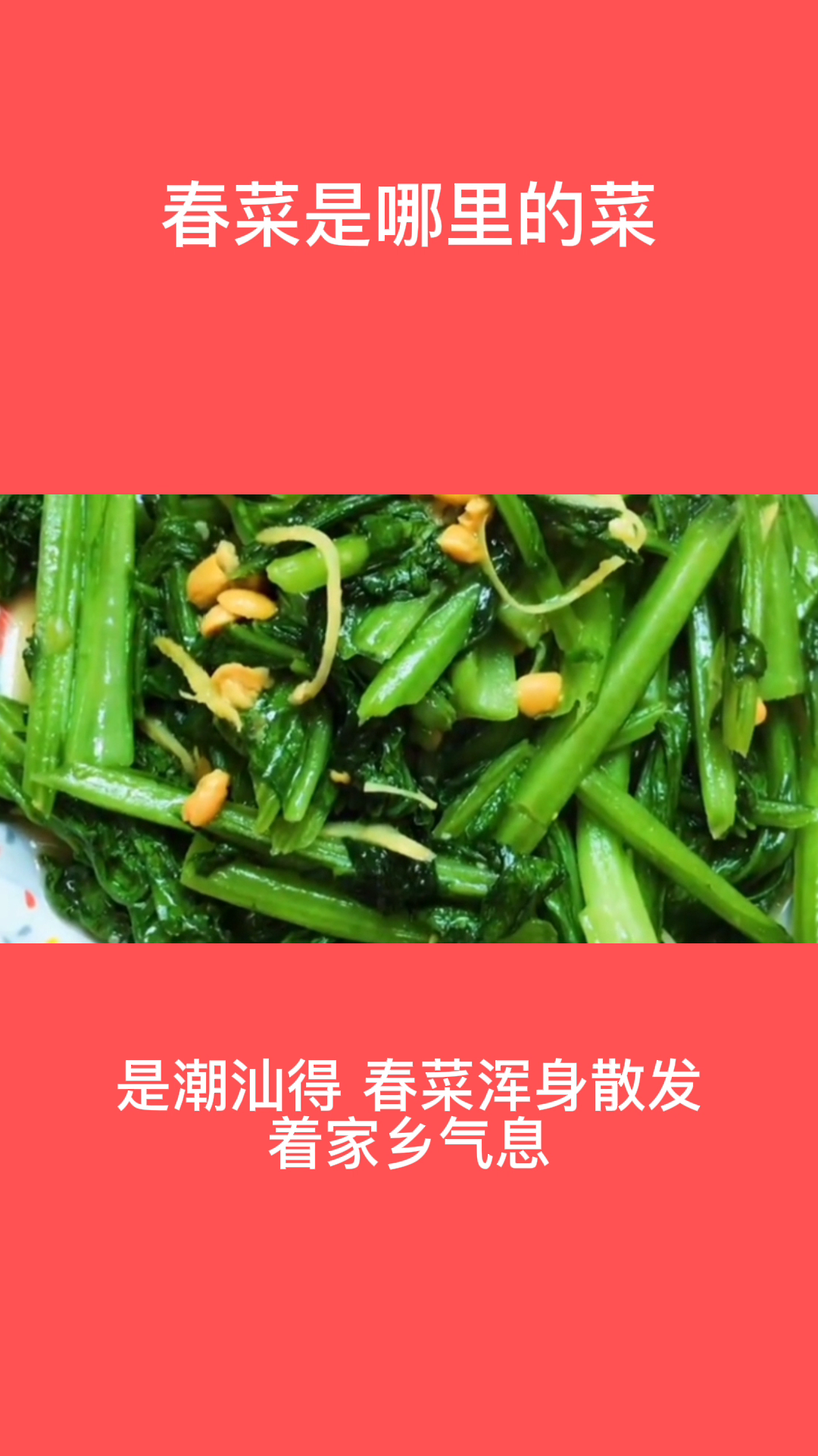 春菜是哪里的菜 