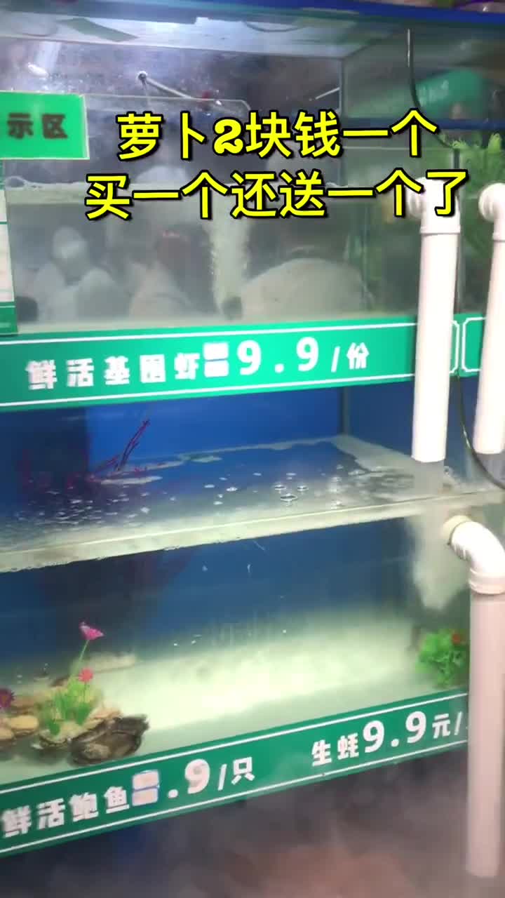 示区萝卜2块钱一买一个还送一个了。鲜活鲍鱼二.91只生蚝9.9元