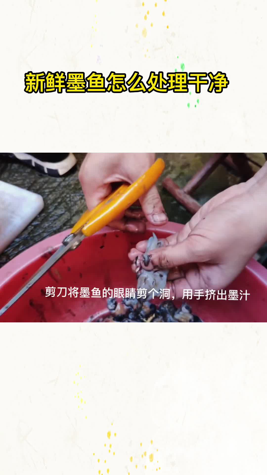 新鲜墨鱼怎么处理干净,你清楚了吗