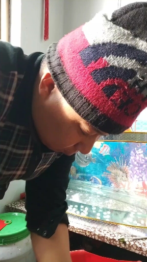 今日下午清理鱼缸。谢谢您们观看我的视频。点个赞呗?