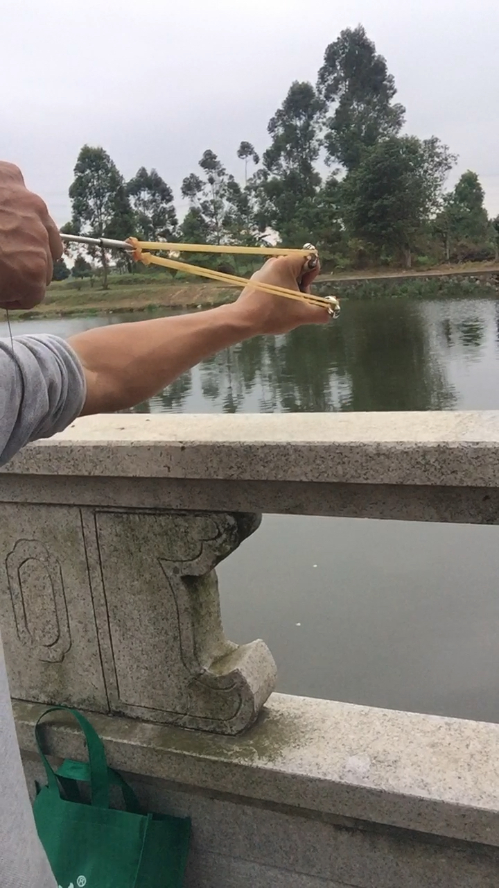 巨型花鱼