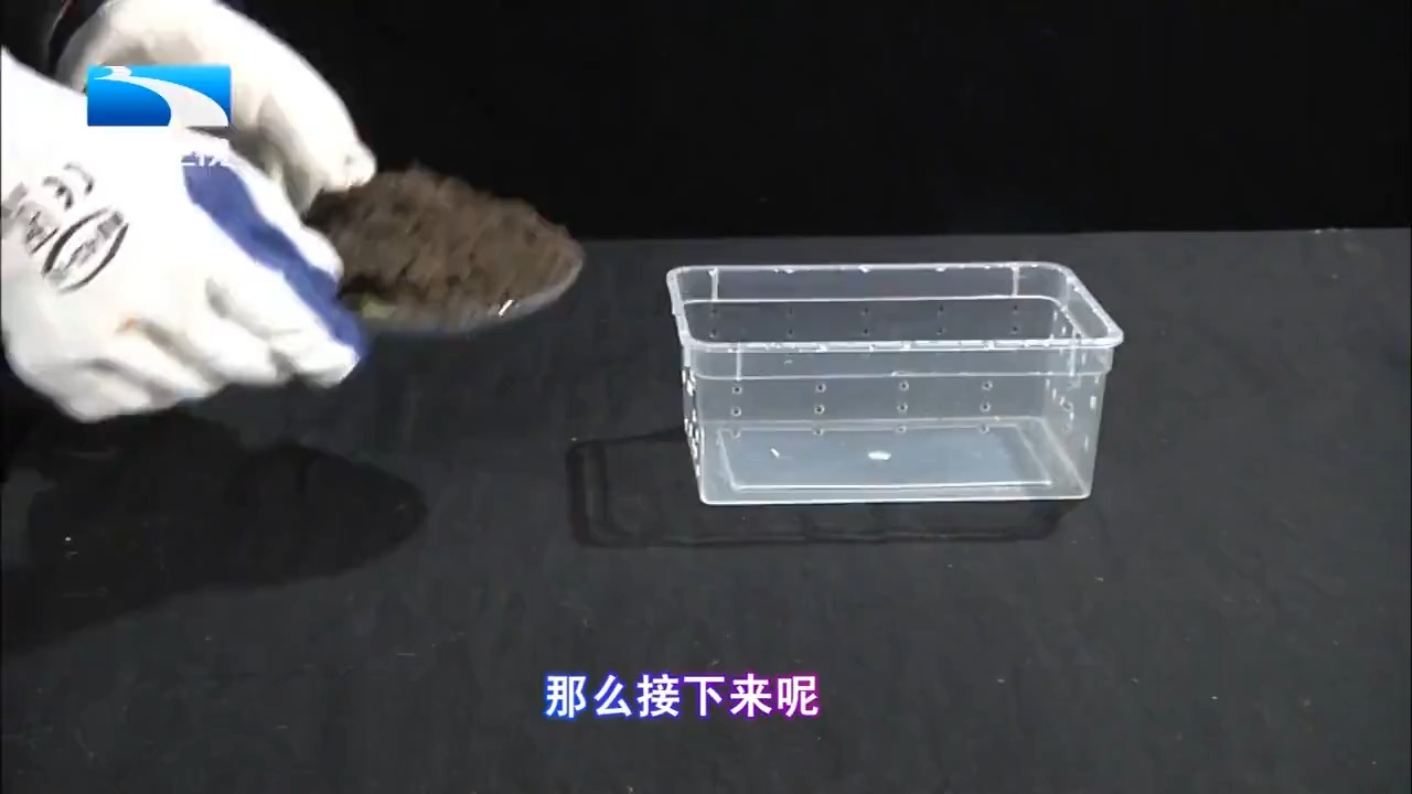生活帮:慵懒的蛇闻到土腥味异常兴奋,这些地方碰到蛇无比凶险