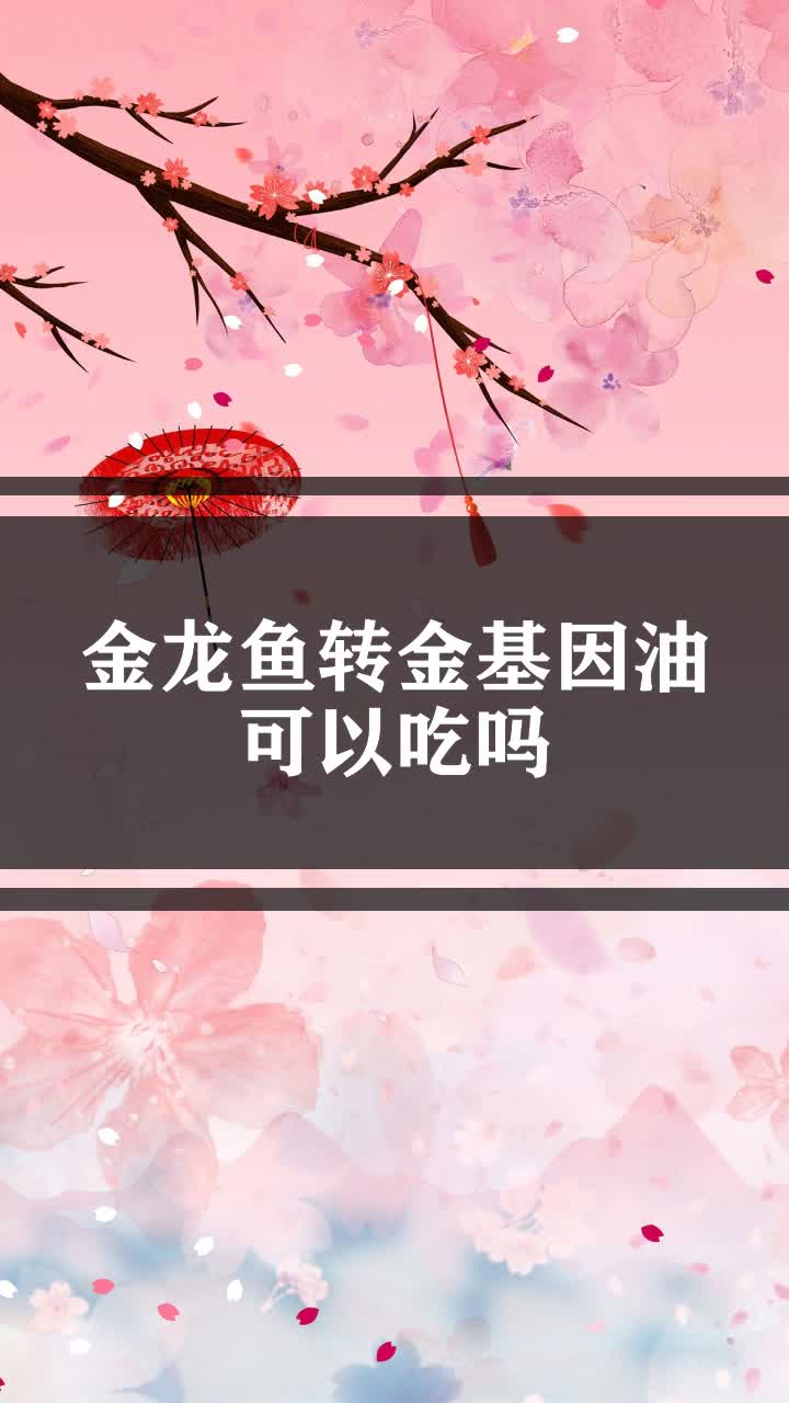 金龙鱼转金基因油可以吃吗