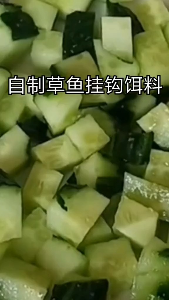 #钓鱼#草鱼饵料配方来了,想学怎么做的试试吧