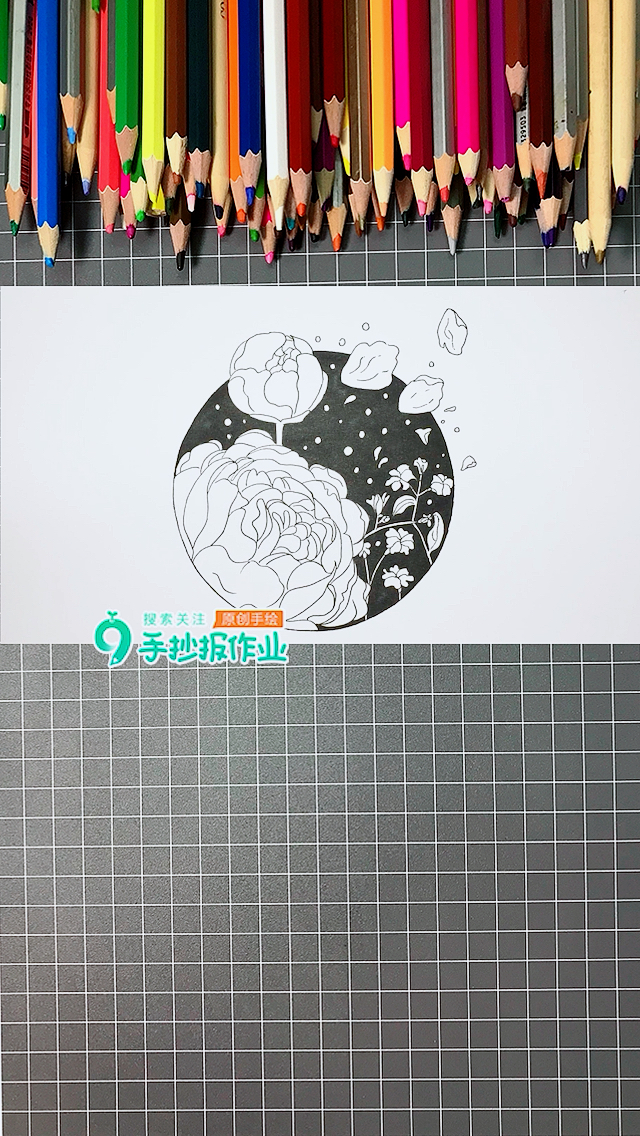 一起来体验花儿的世界,一起来画张花卉黑白画吧