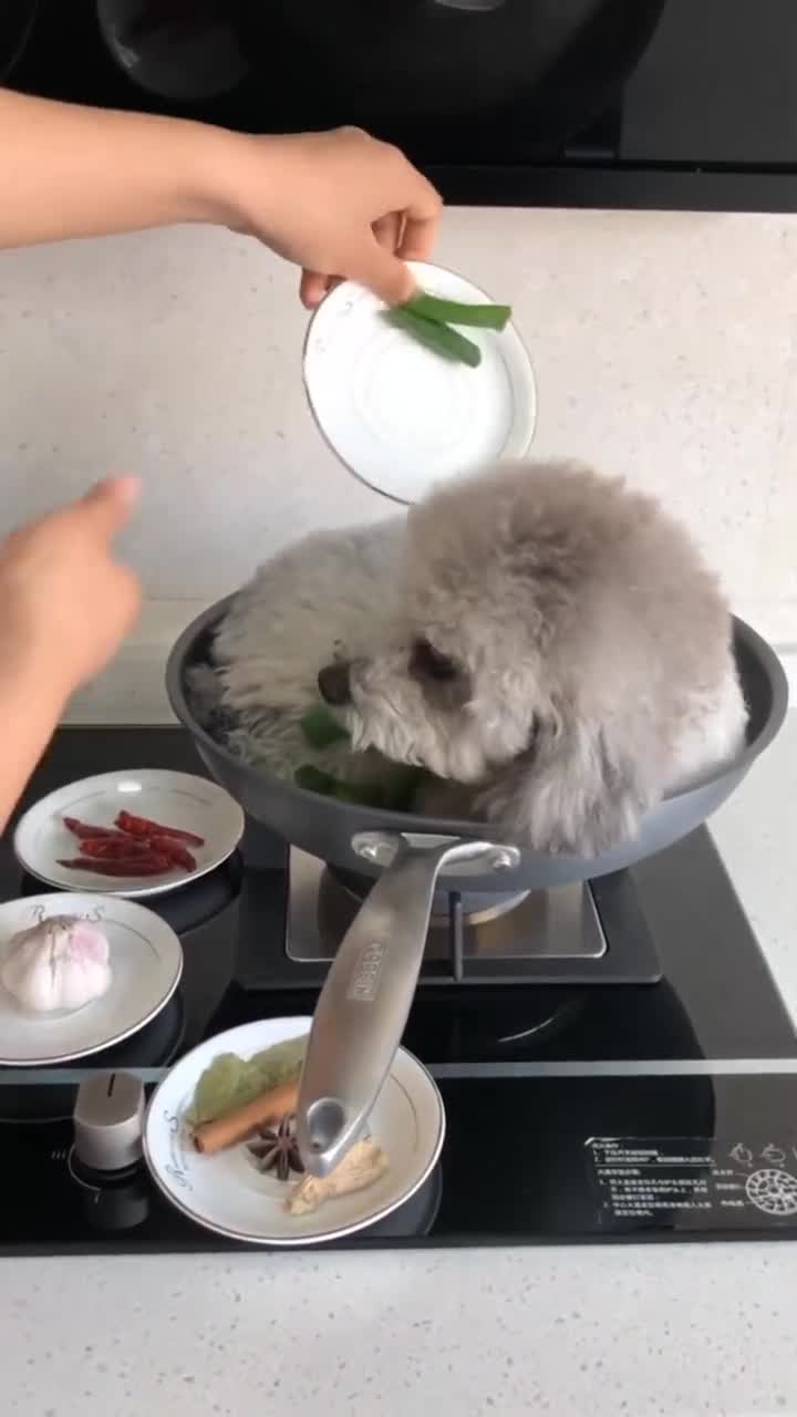 今天就教给大家狗肉火锅的蜜汁做法