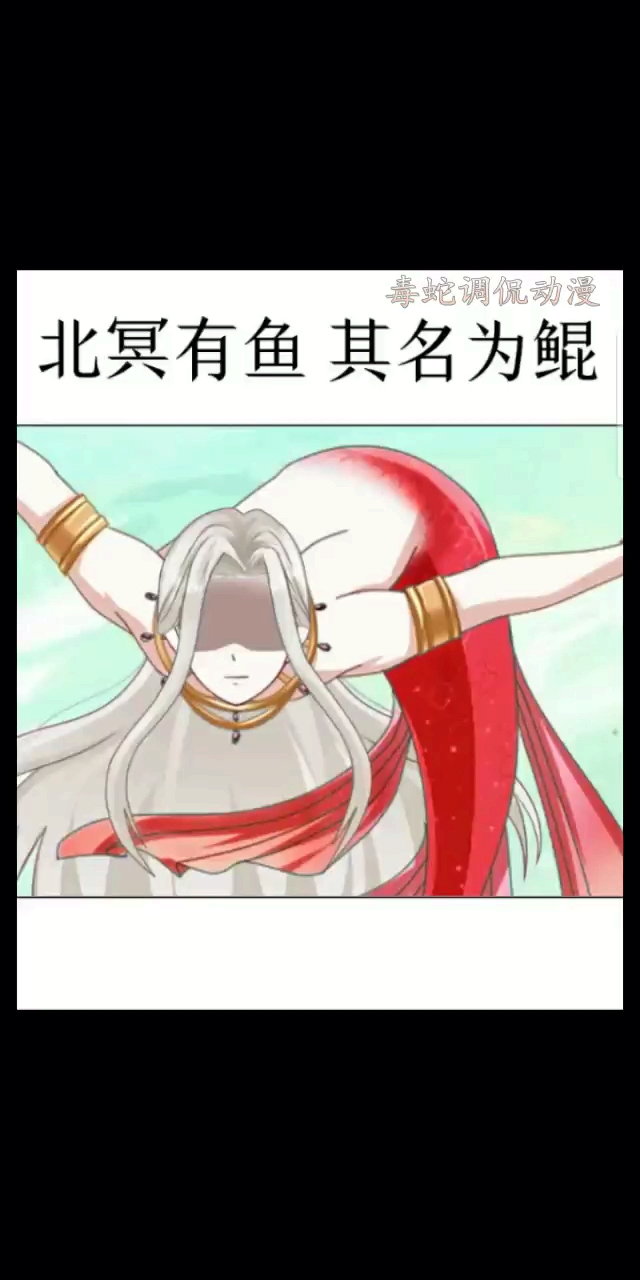 北冥有鱼其名为鲲