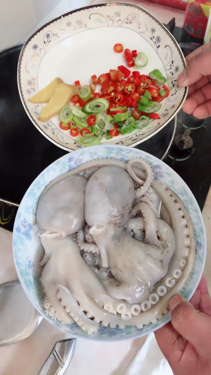 #欢喜闹元宵#红烧八爪鱼 家常做法 供参考