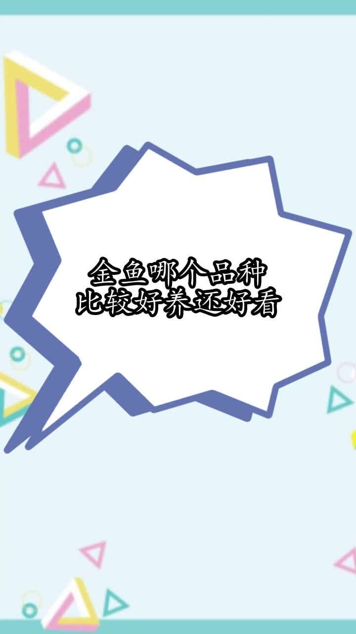 金鱼哪个品种比较好养还好看,你学会了吗