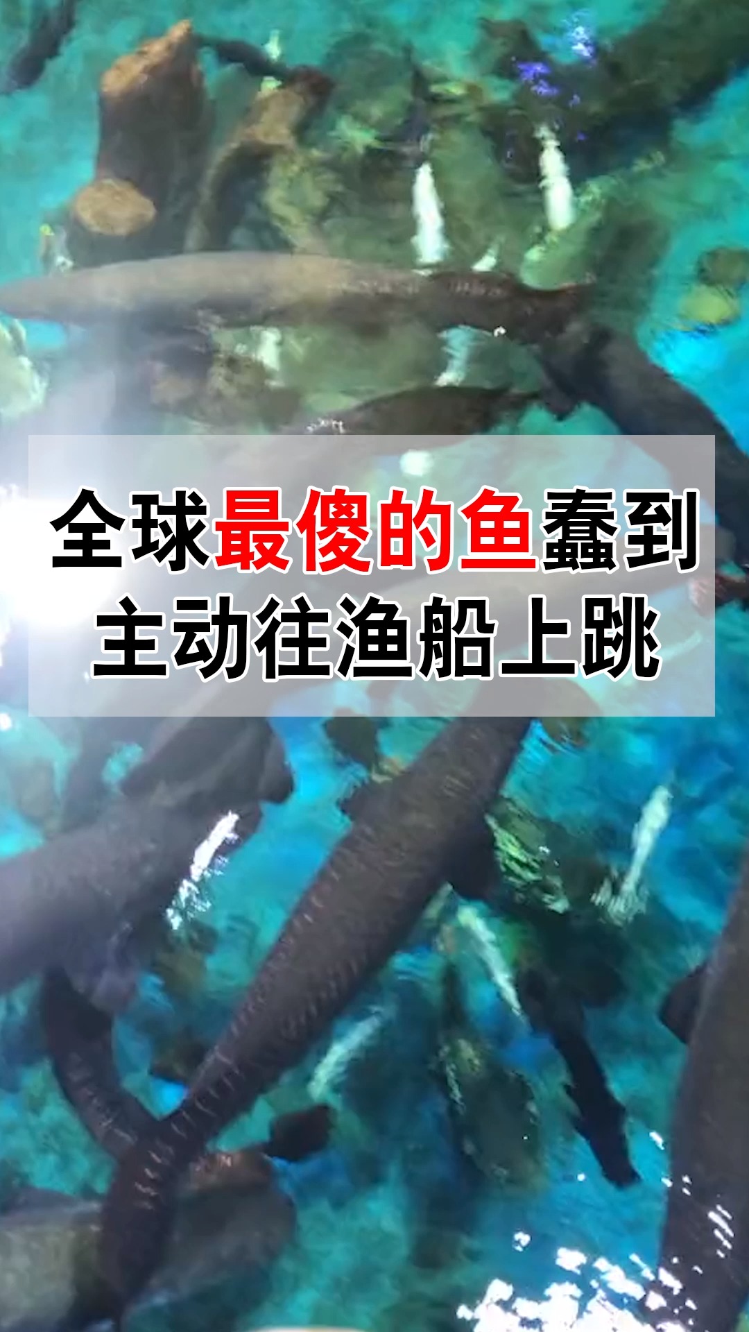 全球