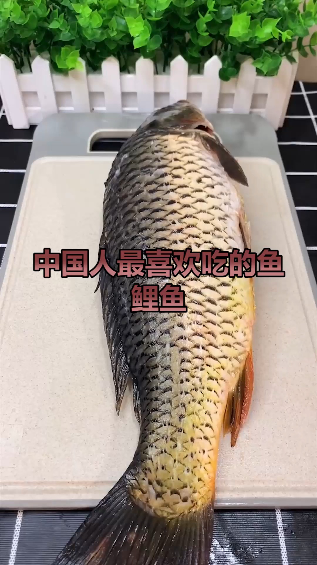 中国人最喜欢吃的鱼,鲤鱼,祝大家年年有余