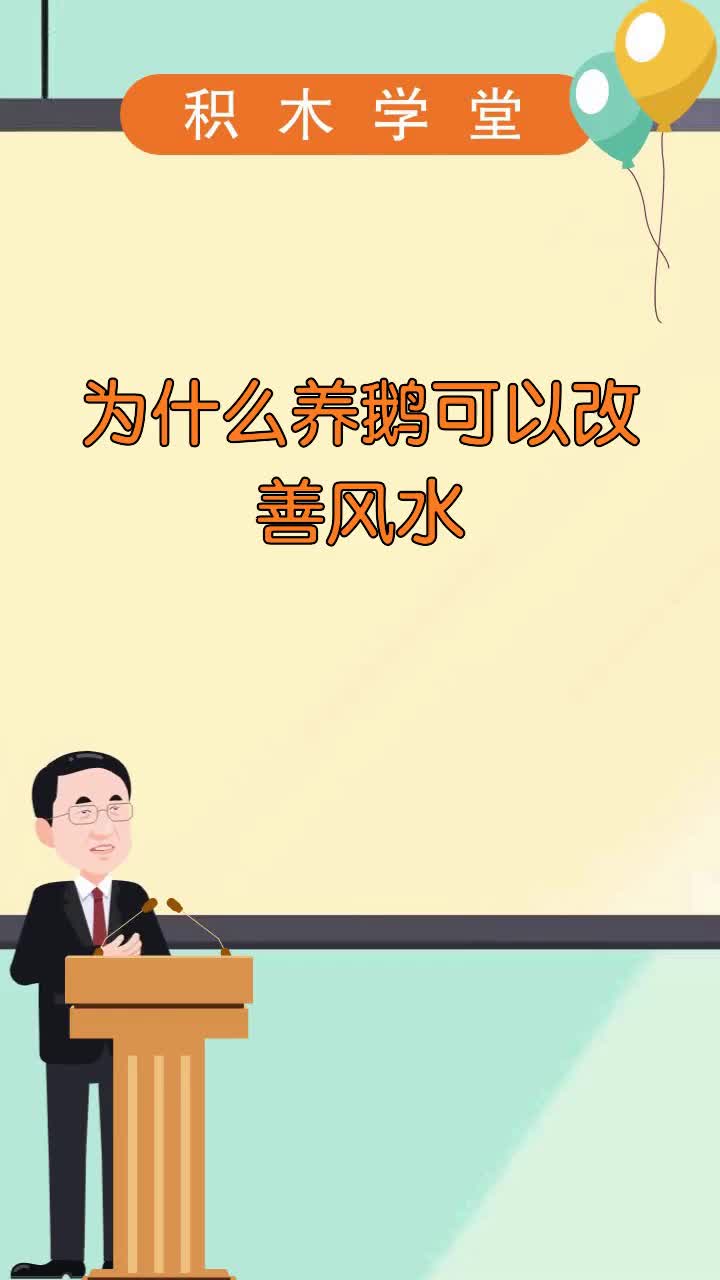 为什么养鹅可以改善风水