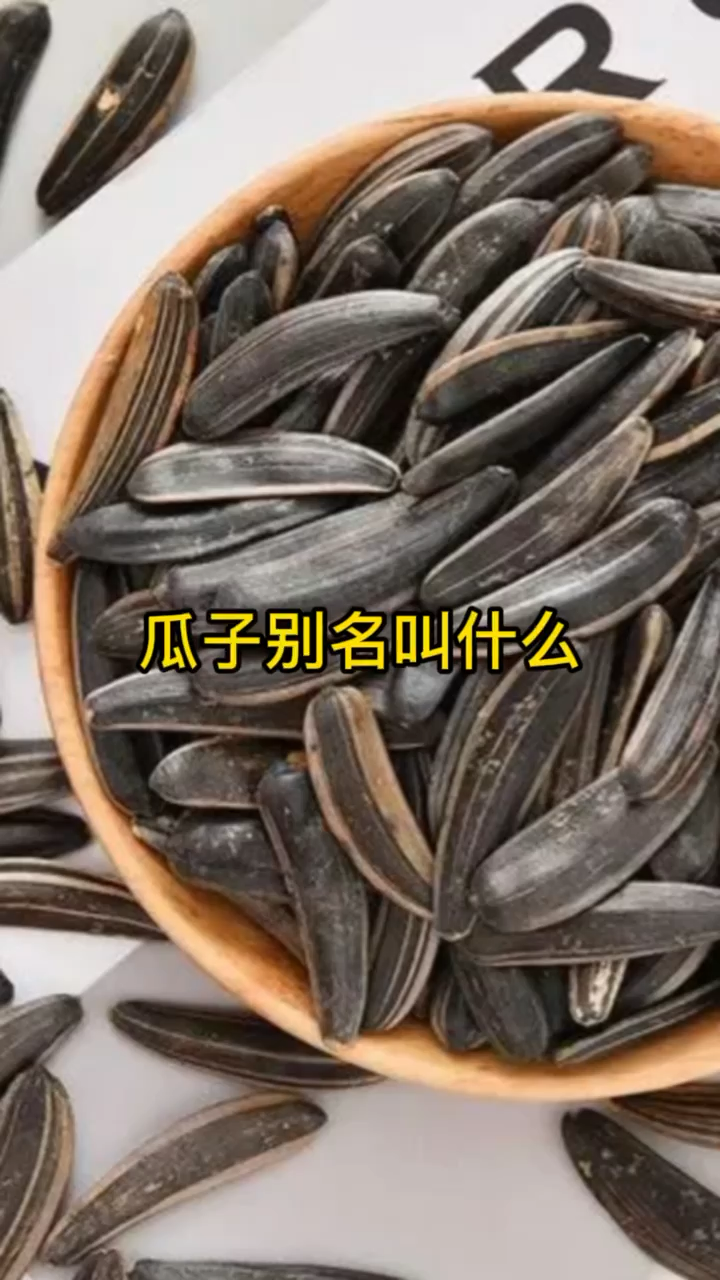 瓜子别名叫什么?