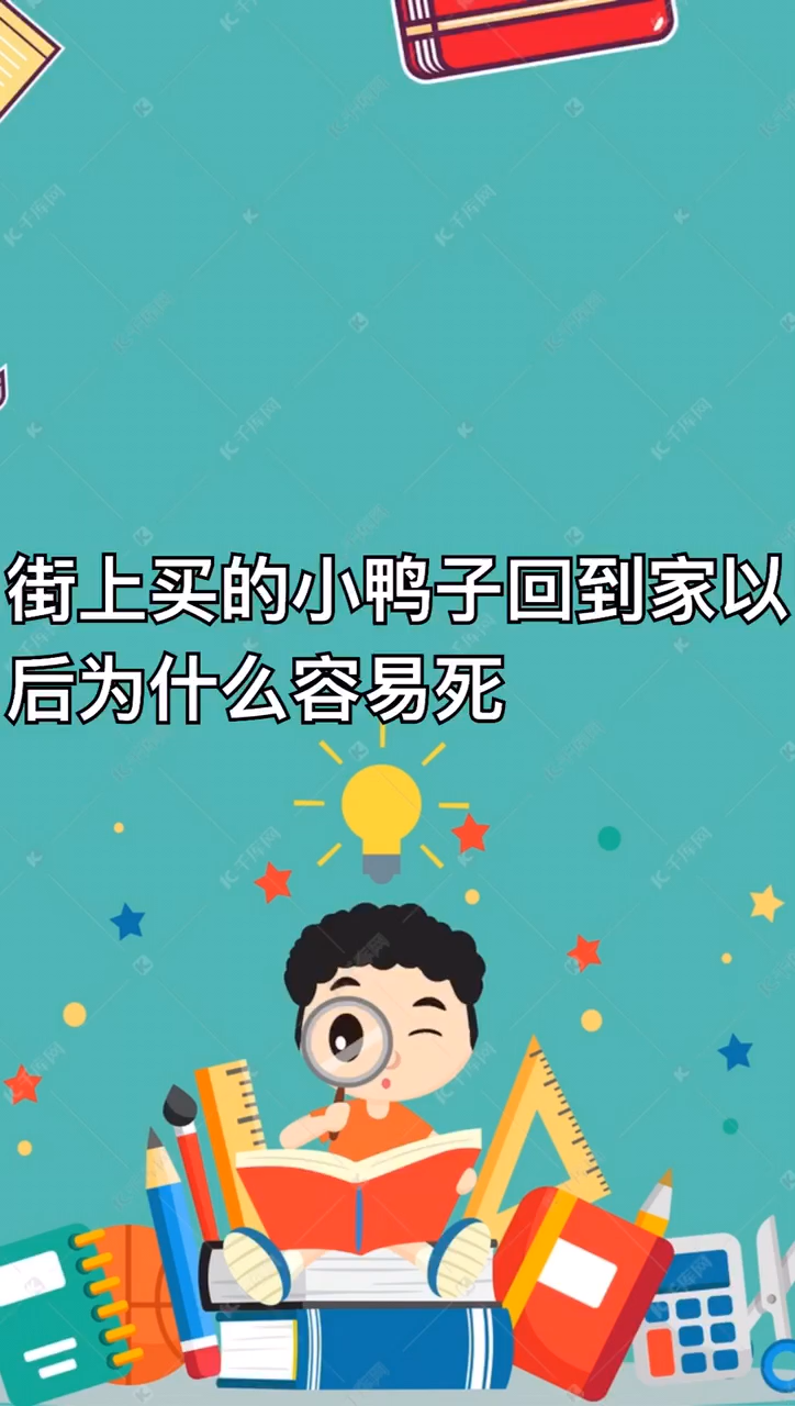街上买的小鸭子为什么容易死