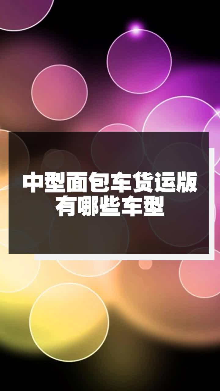 中型面包车货运版有哪些车型
