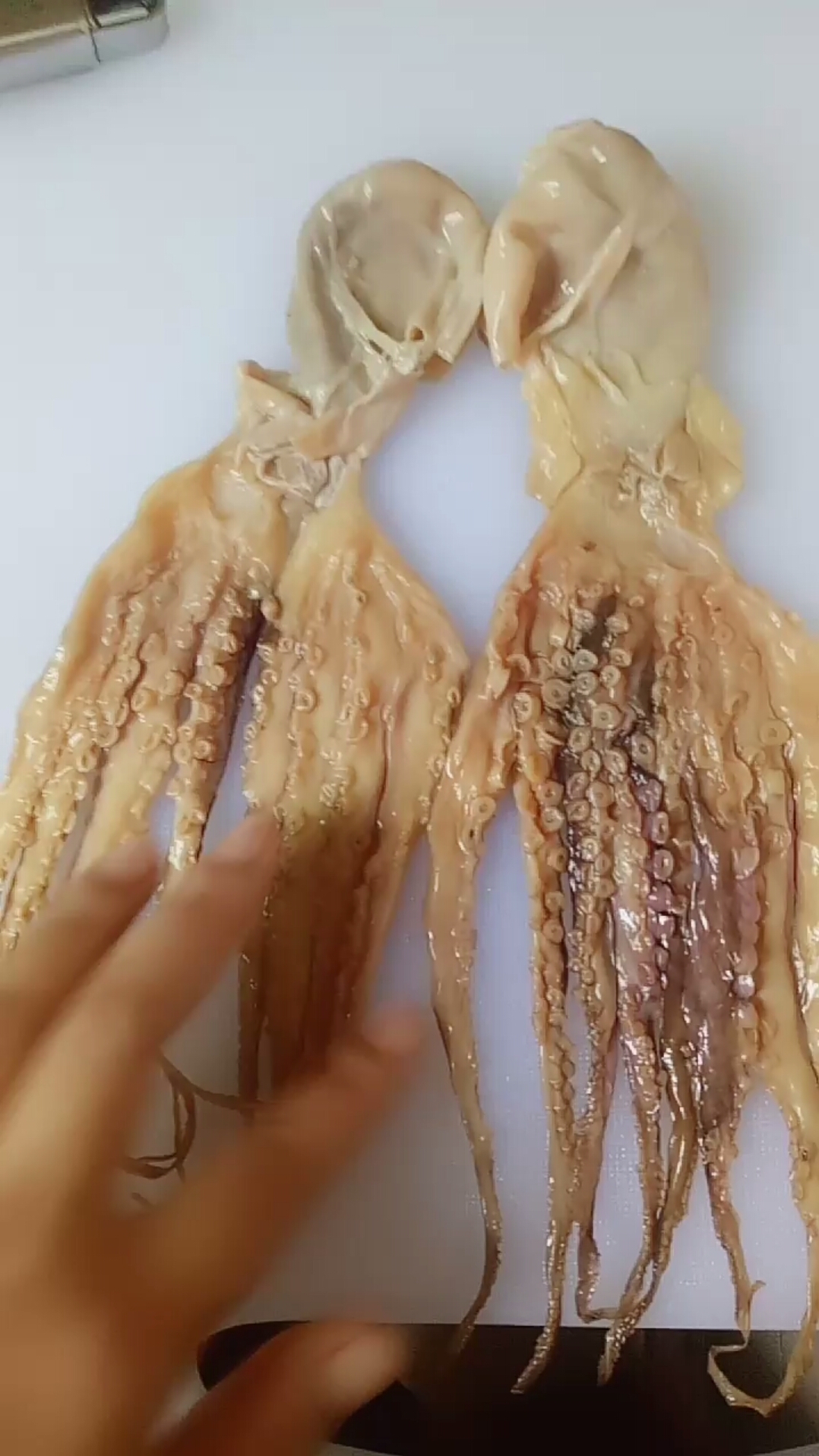 #我要上热门#章鱼超级下奶汤,名人不说暗话我想求上热