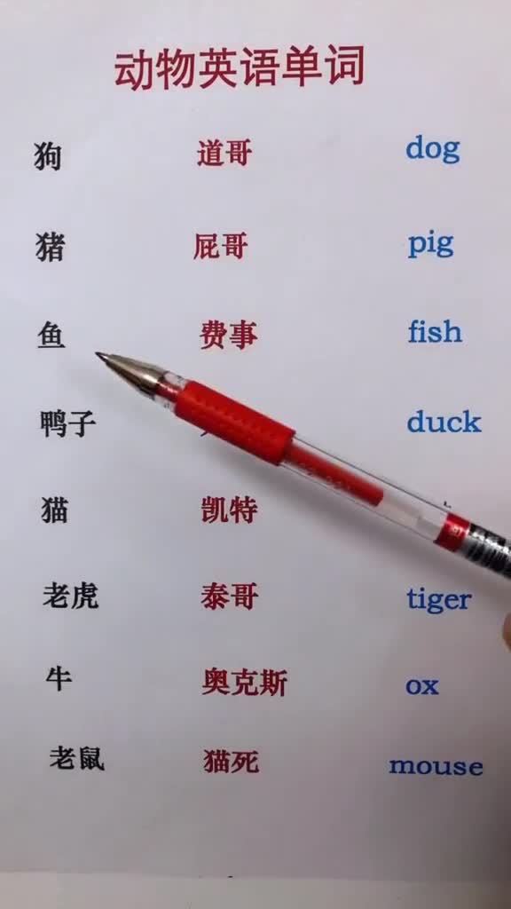 动物英语单词