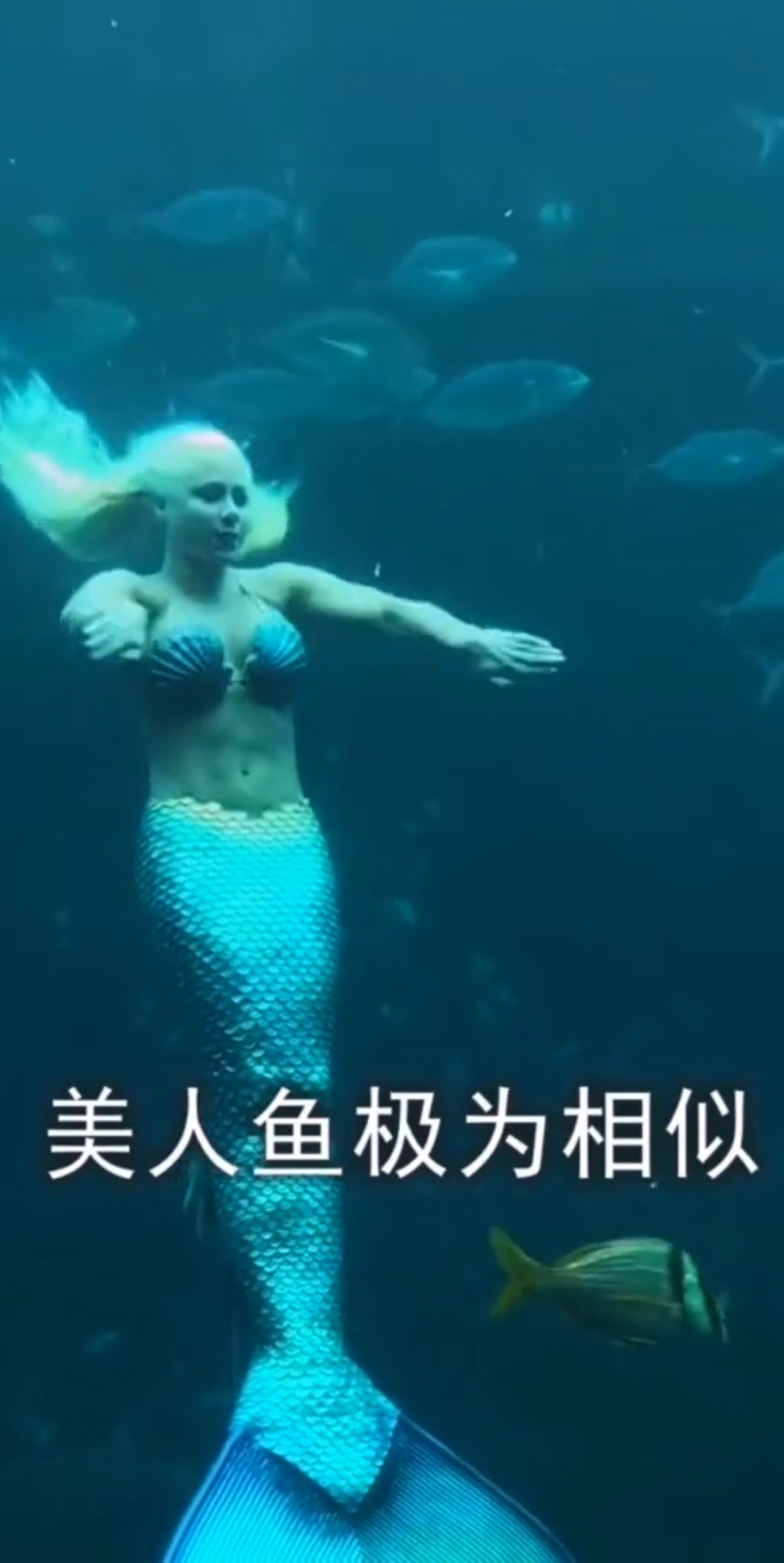 #知识科普#世界上到底,有没有美人鱼?生物学家给出最科学的解释