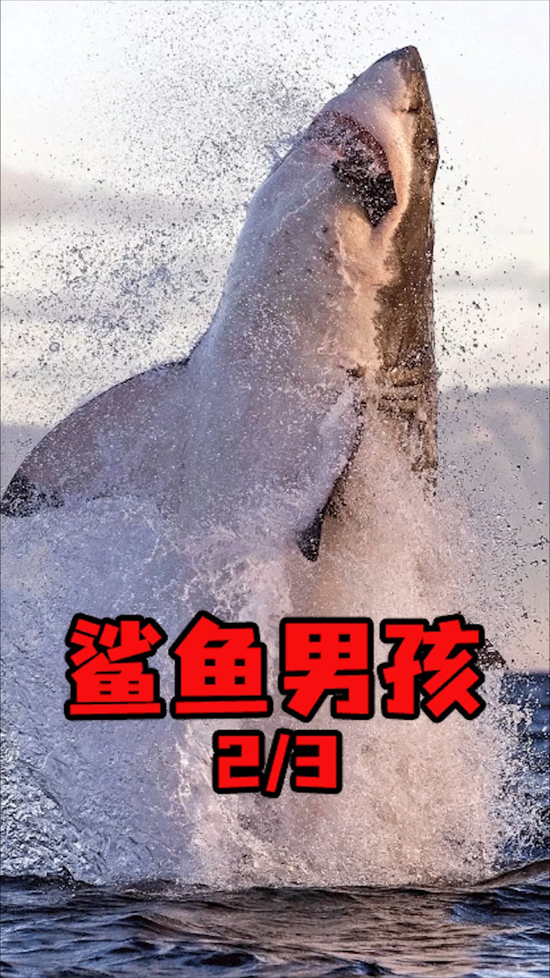 #童年回忆#鲨鱼男孩和岩浆女孩三人拯救口水星球