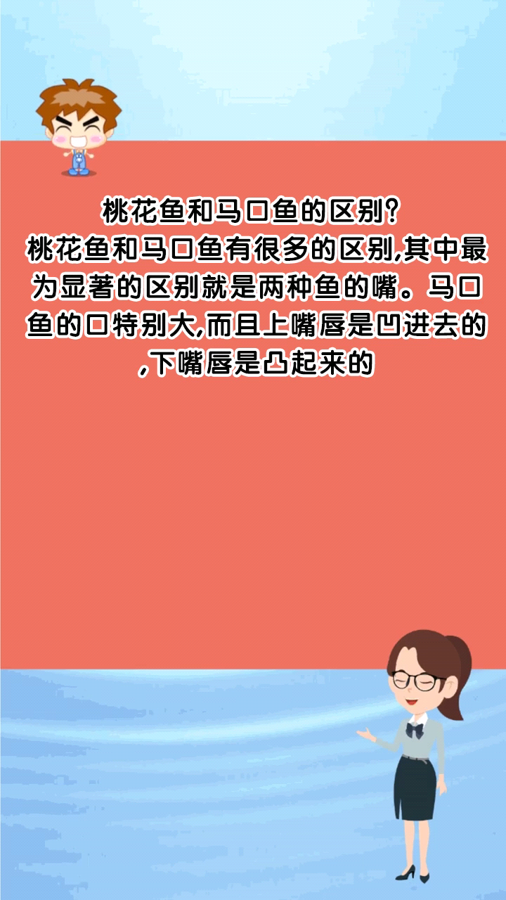 桃花鱼和马口鱼的区别?
