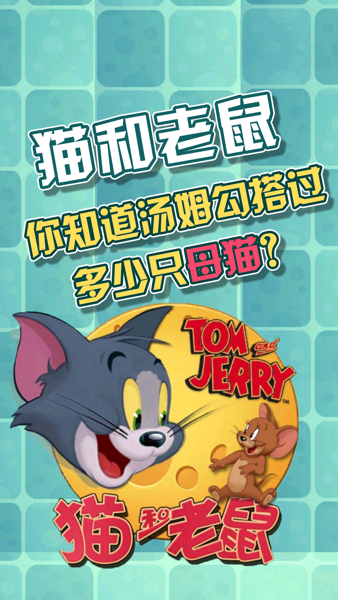 #猫和老鼠#汤姆勾搭过多少只母猫?