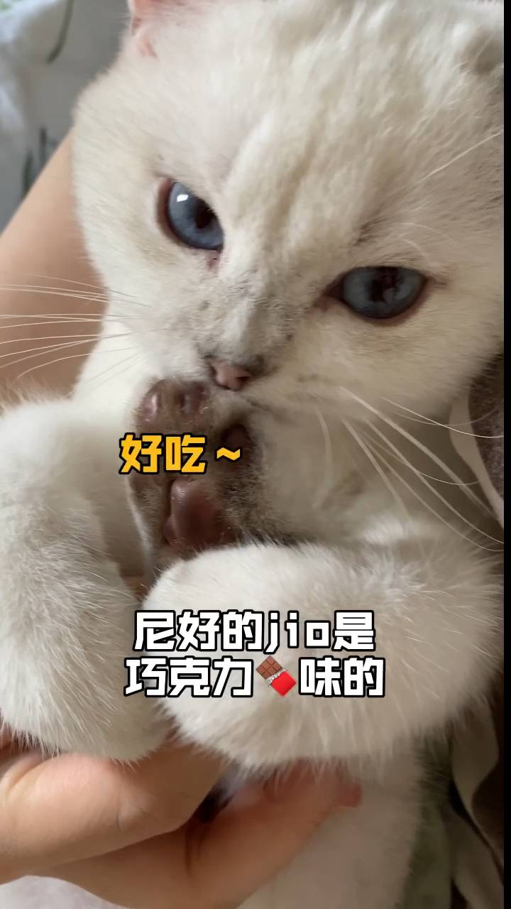 这jio你想尝尝吗?