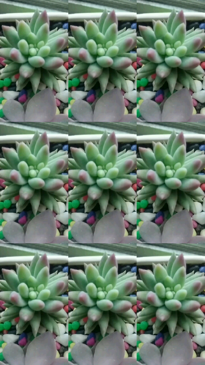 初吻,这个叫啥名字给忘了